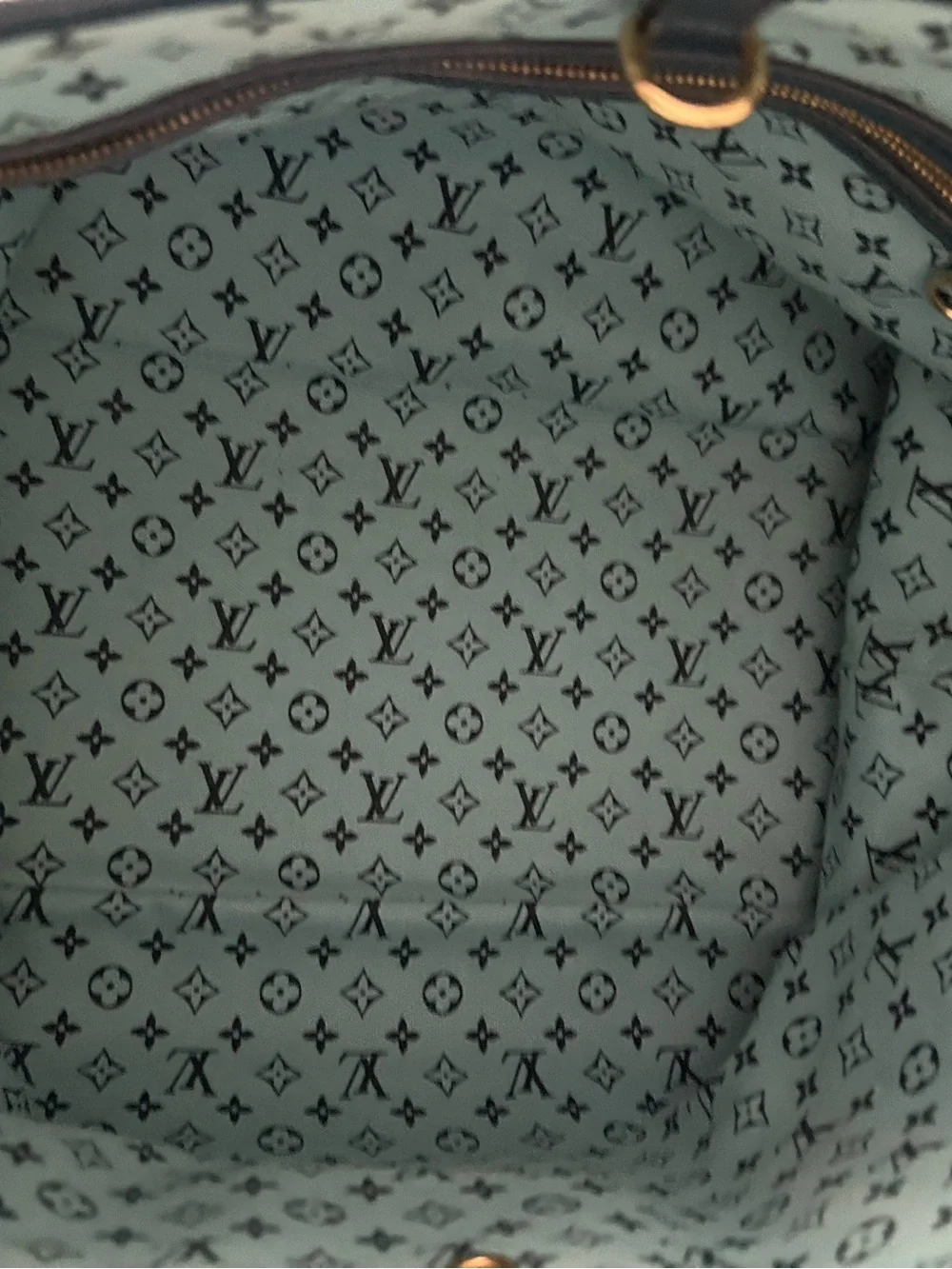 Louis Vuitton  Seaside Tote